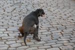 2011-10-07_17-14-18_DSC_3963.jpg
