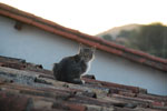2011-10-07_17-45-38_DSC_3990.jpg