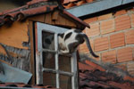 2011-10-07_17-46-42_DSC_3995.jpg