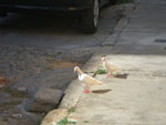 2011-10-08_14-49-44_IMGP7080.jpg