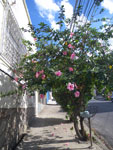 2011-10-08_15-32-05_IMGP7092.jpg
