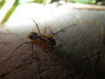 2011-10-08_18-38-55_IMGP7116.jpg