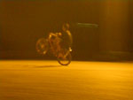 2011-10-08_18-46-43_IMGP7142.jpg