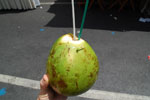 2011-10-09_12-44-45_DSC_4068.jpg