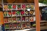 2011-10-09_12-45-06_DSC_4070.jpg