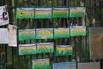 2011-10-09_13-13-14_DSC_4113.jpg