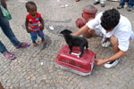 2011-10-09_13-13-59_DSC_4117.jpg