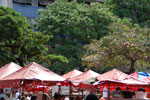 2011-10-09_13-20-42_DSC_4125.jpg