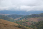 2011-10-11_14-11-26_DSC_4168.jpg