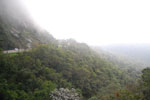 2011-10-11_15-26-14_DSC_4176.jpg