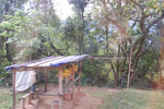 2011-10-11_15-34-59_DSC_4191.jpg