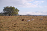 2011-10-11_16-43-45_DSC_4207.jpg