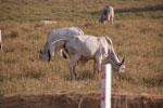 2011-10-11_16-43-52_DSC_4209.jpg