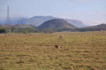 2011-10-11_16-44-00_DSC_4210.jpg