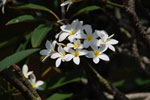 2011-10-12_13-55-13_DSC_4244.jpg