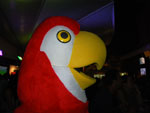 2011-10-12_22-51-28_IMGP7288.jpg