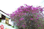 2011-10-14_14-16-42_DSC_4259.jpg