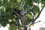 2011-10-14_15-01-02_DSC_4263.jpg