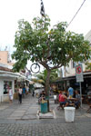 2011-10-14_15-03-42_DSC_4266.jpg