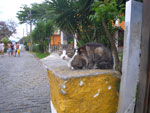 2011-10-14_17-16-47_IMGP7357.jpg