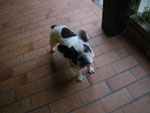 2011-10-15_17-06-22_IMGP7452.jpg