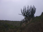 2011-10-15_17-16-00_IMGP7465.jpg