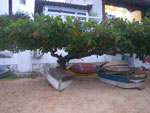 2011-10-15_17-25-00_IMGP7485.jpg