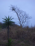 2011-10-15_17-51-12_IMGP7521.jpg