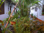 2011-10-16_11-59-23_IMGP7550.jpg