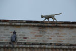 2011-10-16_17-32-22_DSC_4319.jpg