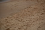 2011-10-16_17-42-05_DSC_4356.jpg