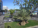 2011-10-18_17-09-19_IMGP7688.jpg