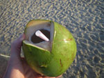 2011-10-18_18-20-29_IMGP7698.jpg
