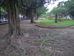 2011-10-19_14-22-37_IMGP7842.jpg