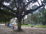 2011-10-19_14-23-03_IMGP7843.jpg