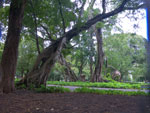 2011-10-19_17-11-16_IMGP7942.jpg