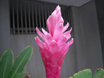 2011-10-21_18-05-53_IMGP8152.jpg