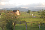 2011-10-22_19-01-27_DSC_4396.jpg