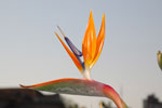 2011-10-23_17-44-45_DSC_4457.jpg