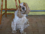 2011-10-26_13-21-25_IMGP8640.jpg