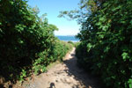2011-10-26_17-28-48_DSC_4695.jpg
