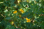 2011-10-26_17-30-47_DSC_4696.jpg