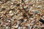 2011-10-26_17-53-20_DSC_4757.jpg