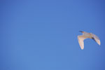 2011-10-26_18-13-27_DSC_4861.jpg