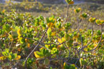 2011-10-26_18-18-29_DSC_4865.jpg