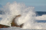 2011-10-26_18-24-30_DSC_4912.jpg