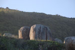 2011-10-26_18-33-20_DSC_5009.jpg