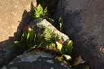 2011-10-26_18-36-22_DSC_5016.jpg