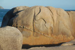 2011-10-26_18-39-22_DSC_5041.jpg