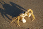 2011-10-26_18-43-22_DSC_5064.jpg